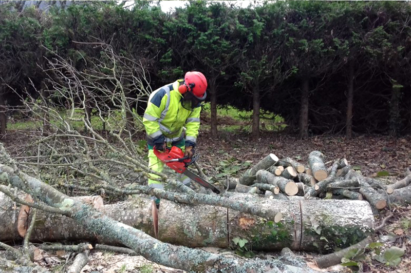 abattage broyage arbre jardins daniel postec quimper