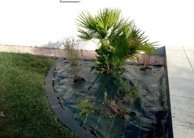 3ème partie chantier aménagement paysagers à Riec-sur-Belon - Plantations