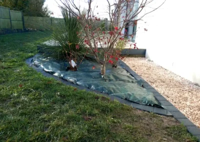 3ème partie chantier aménagement paysagers à Riec-sur-Belon - Plantations
