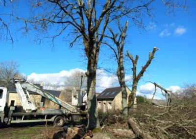Nacelle élagage au Trévoux