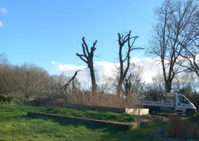 Nacelle élagage au Trévoux