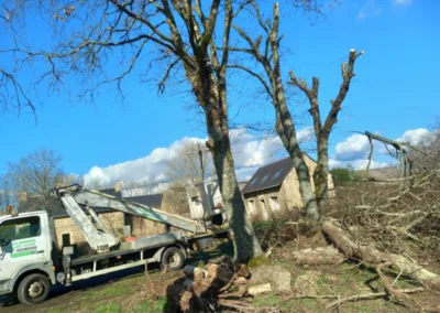 Nacelle élagage au Trévoux