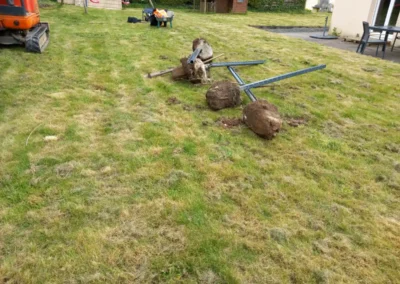 Petite clôture + haie persistante