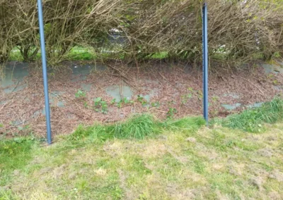 Petite clôture + haie persistante