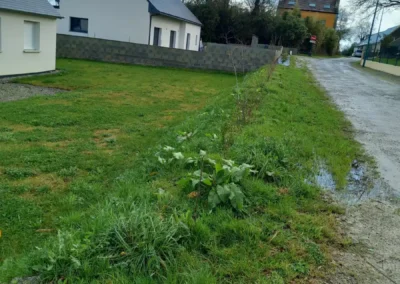 Pose de toile de paillage sur talus aménagement