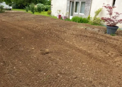 Semis de gazon en création