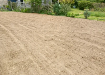 Semis de gazon en création