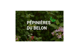 Pépinières du Belon partenaire fournisseur